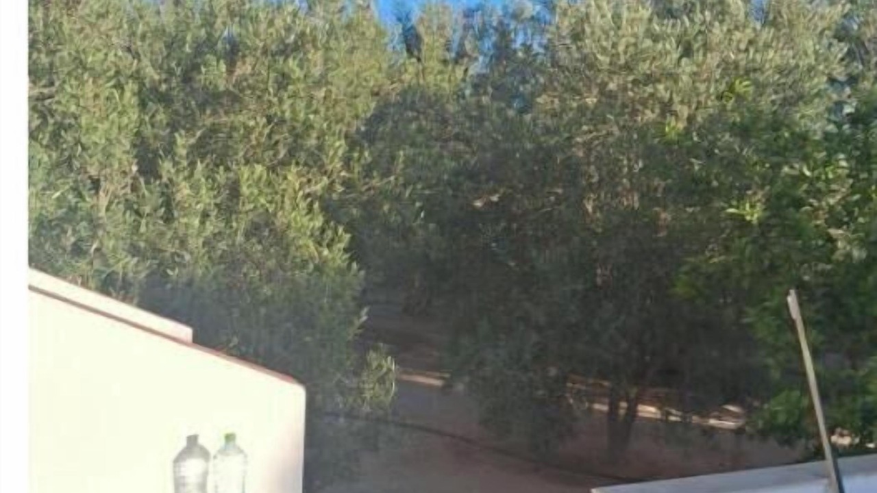 Photo of Outdoor in Tataouine