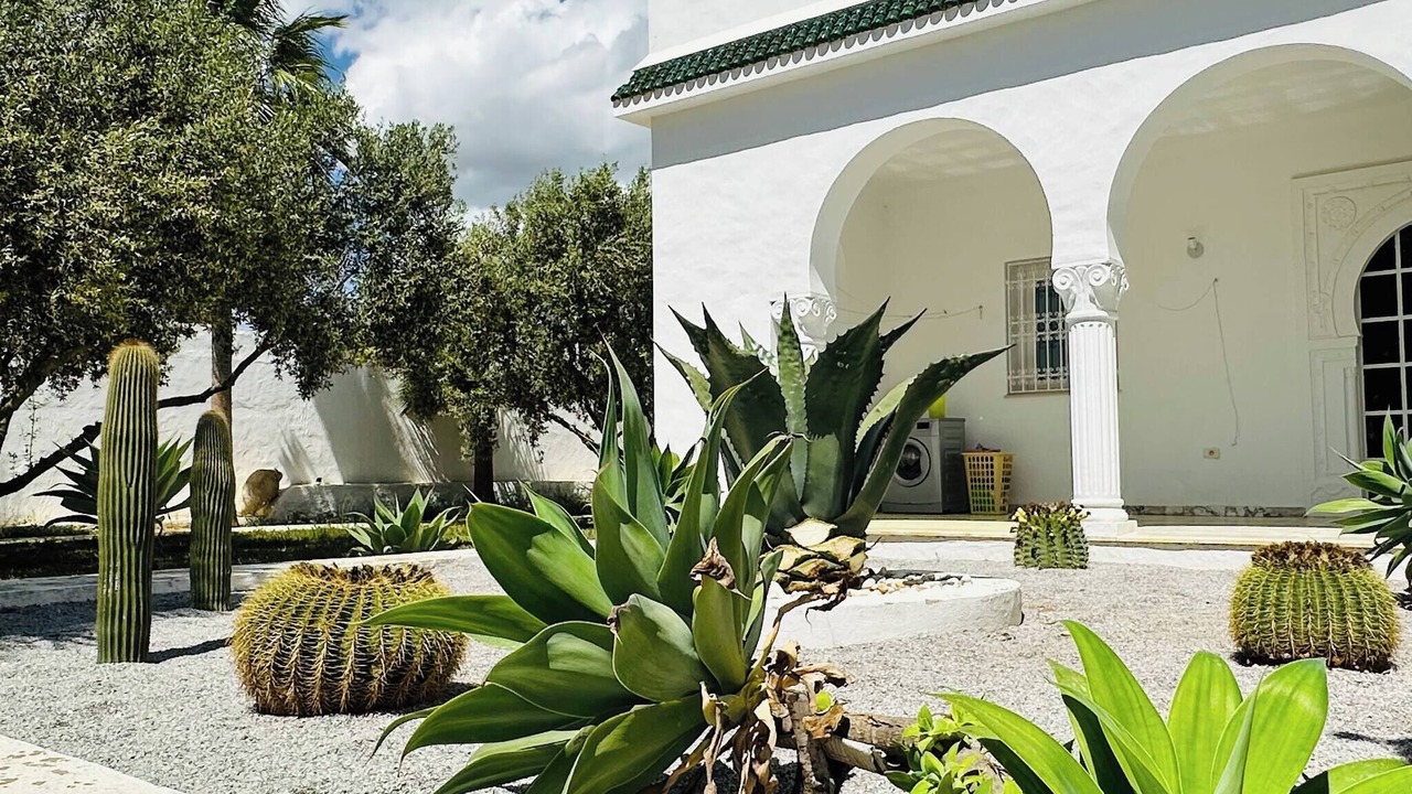 Photo of Outdoor in Bir Bou Rekba