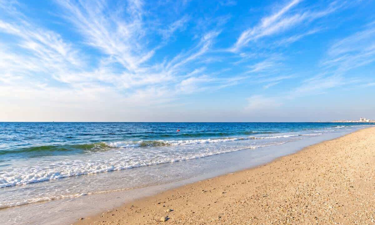 Photo of Others in Ajman