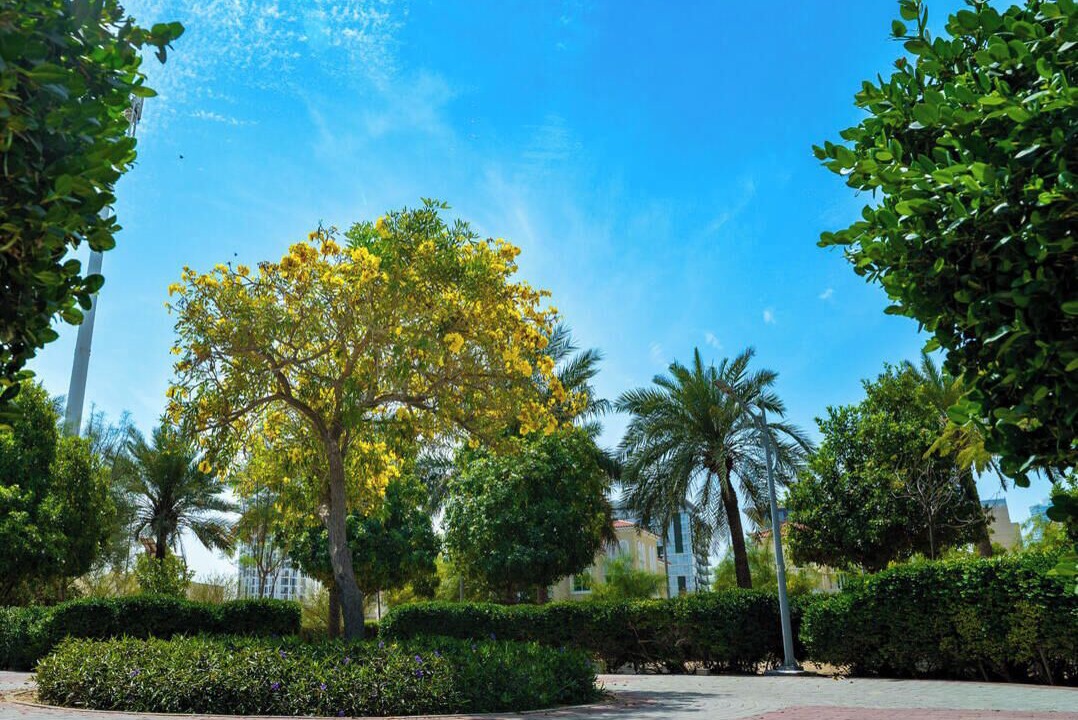 Photo of Others in Al Quoz