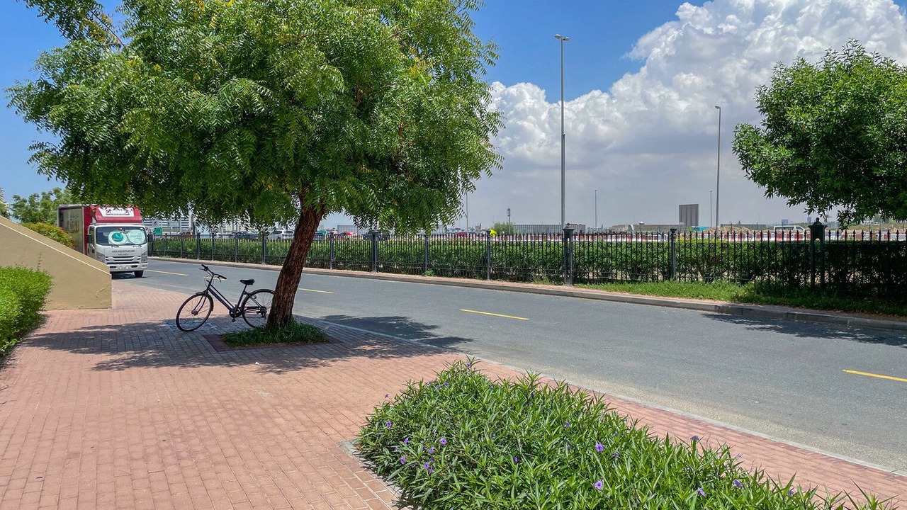 Photo of Outdoor in The Greens