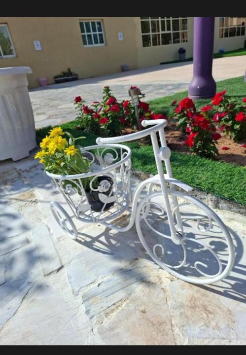 Photo of Others in Ras Al Khaimah
