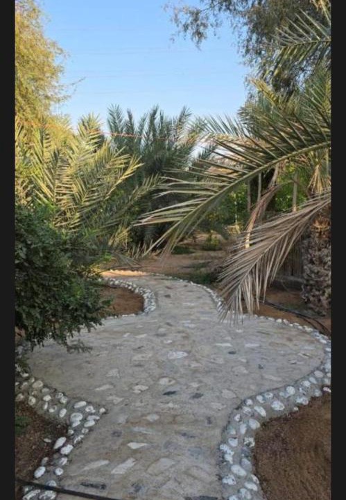 Photo of Others in Ras Al Khaimah