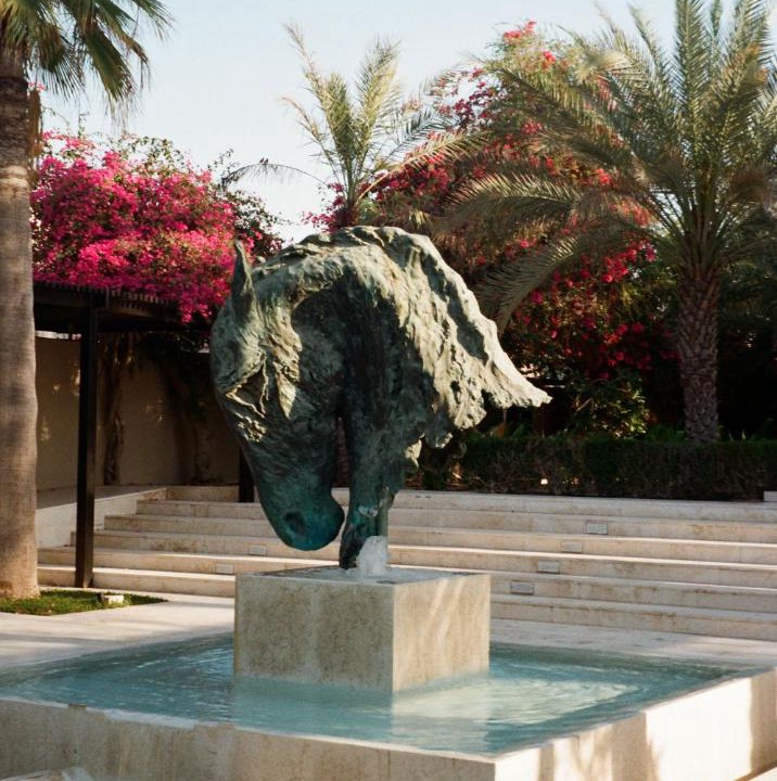 Photo of Others in Dubai