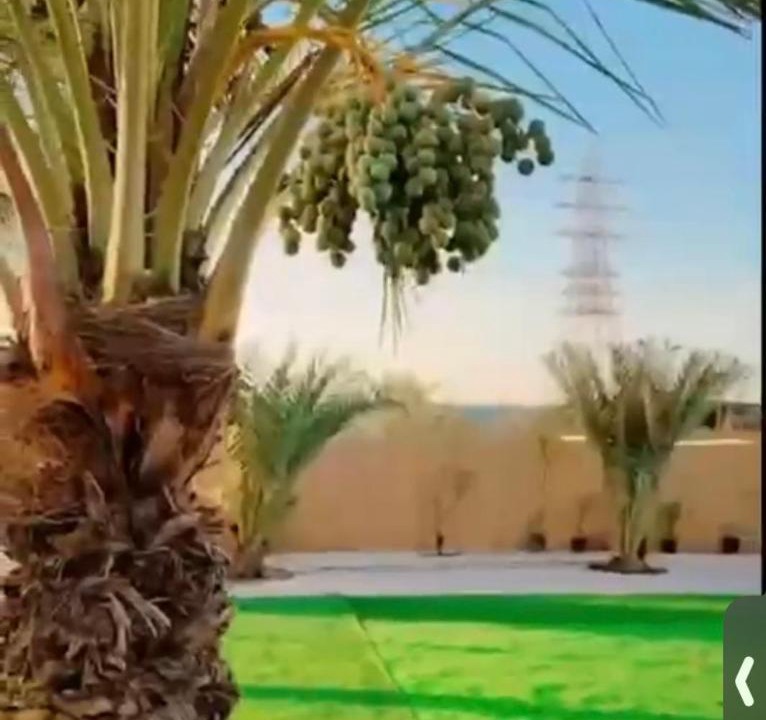 Photo of Others in Ras Al Khaimah