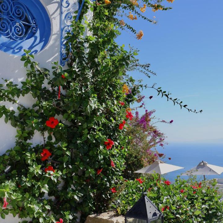 Photo of Others in Sidi Bou Said