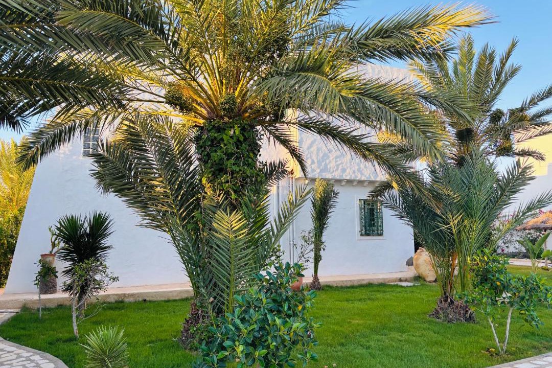 Photo of Others in Mezraia