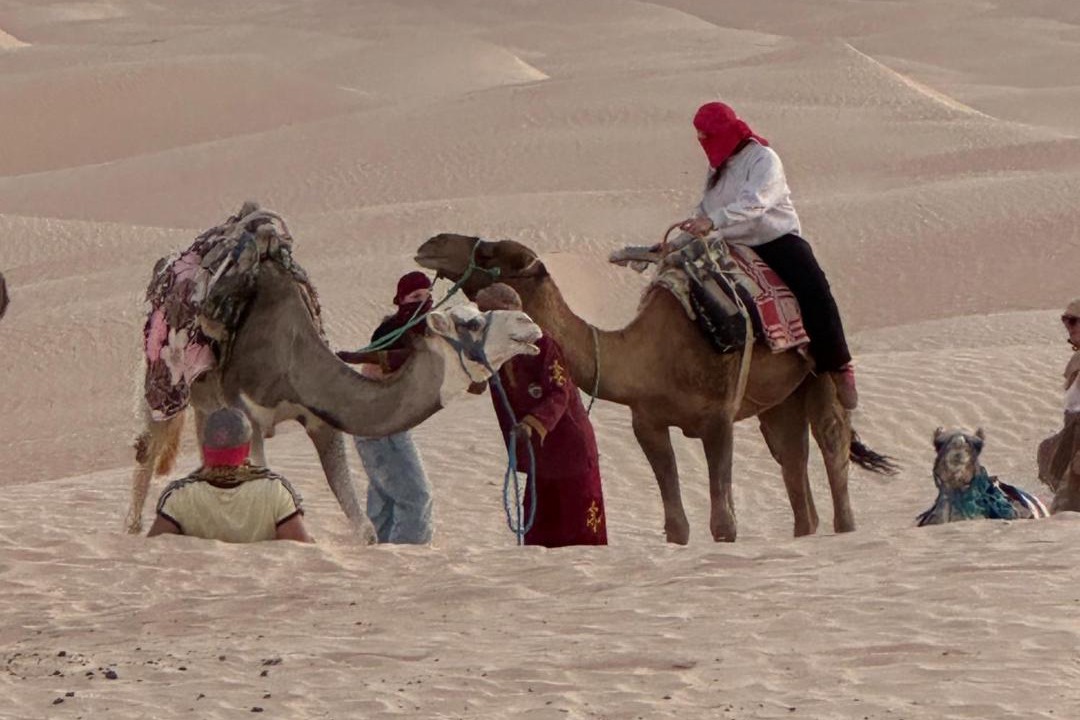Photo of Others in El Faouar