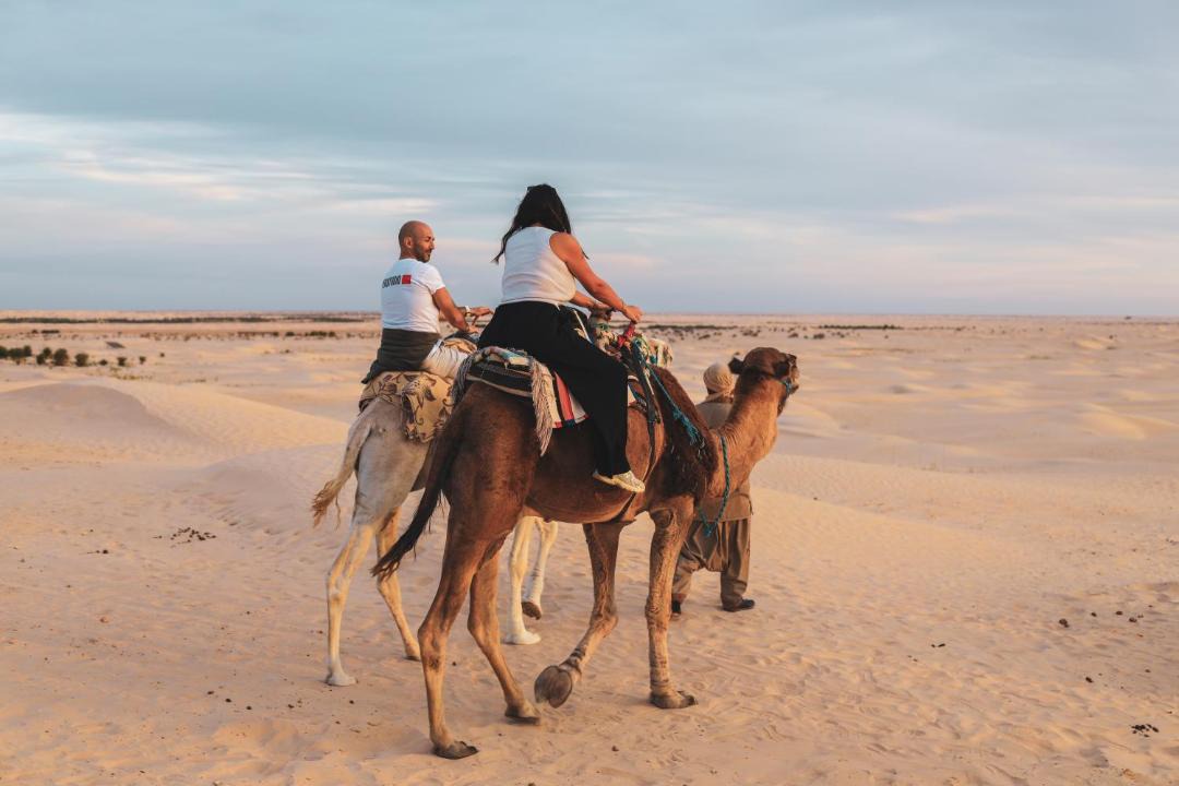Photo of Others in El Faouar