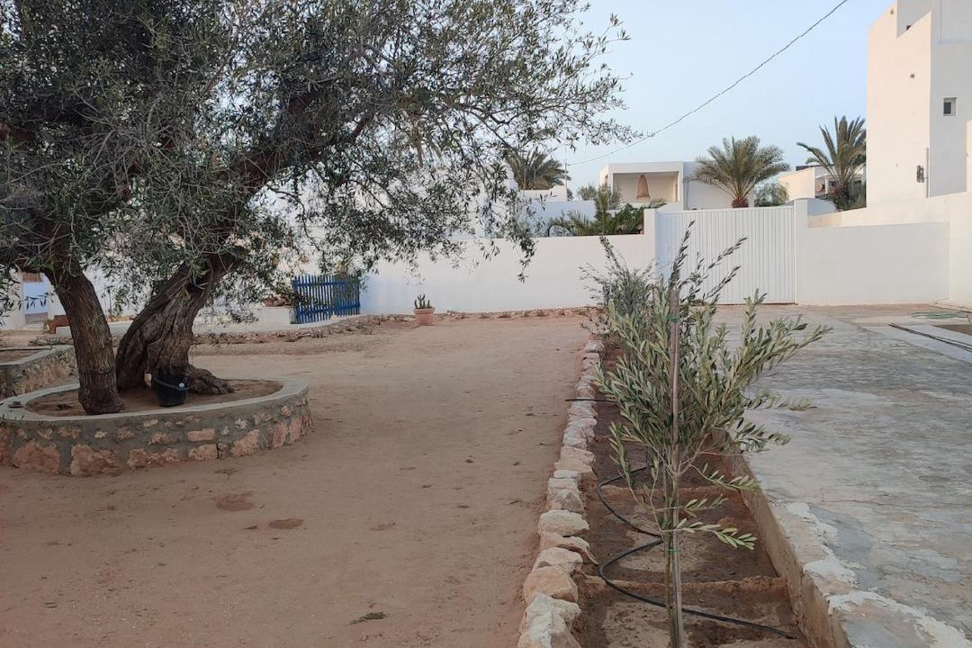 Photo of Others in Aghir