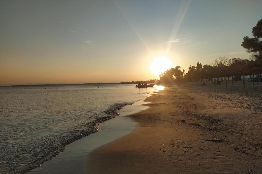 Photo of Others in Eastern Hammamet