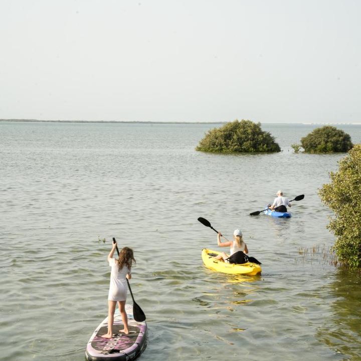 Photo of Others in Umm al Quwain