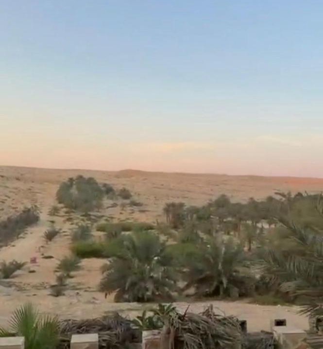 Photo of Others in Liwa