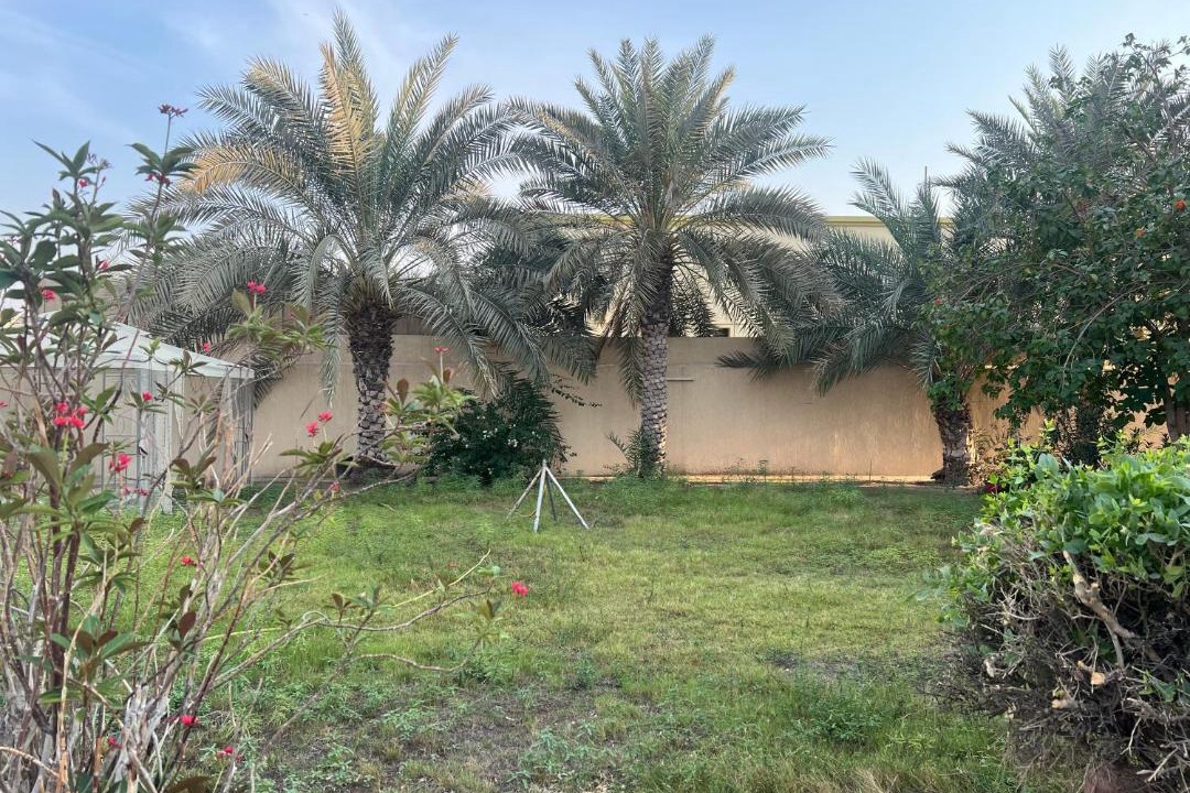 Photo of Others in Dubai