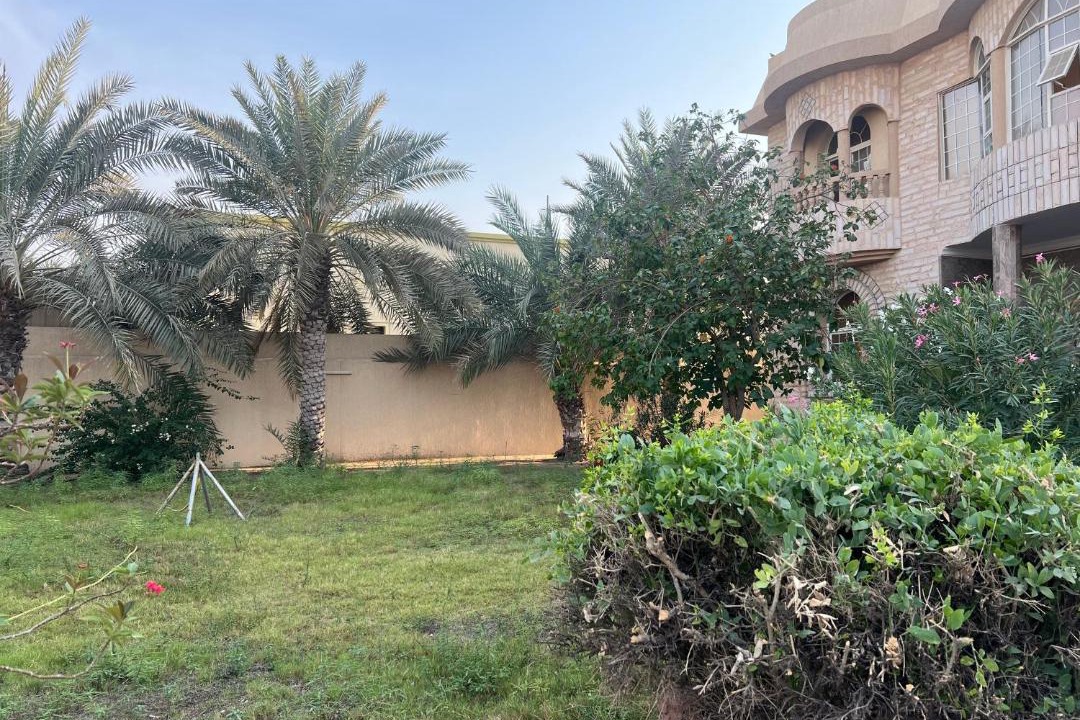 Photo of Others in Dubai