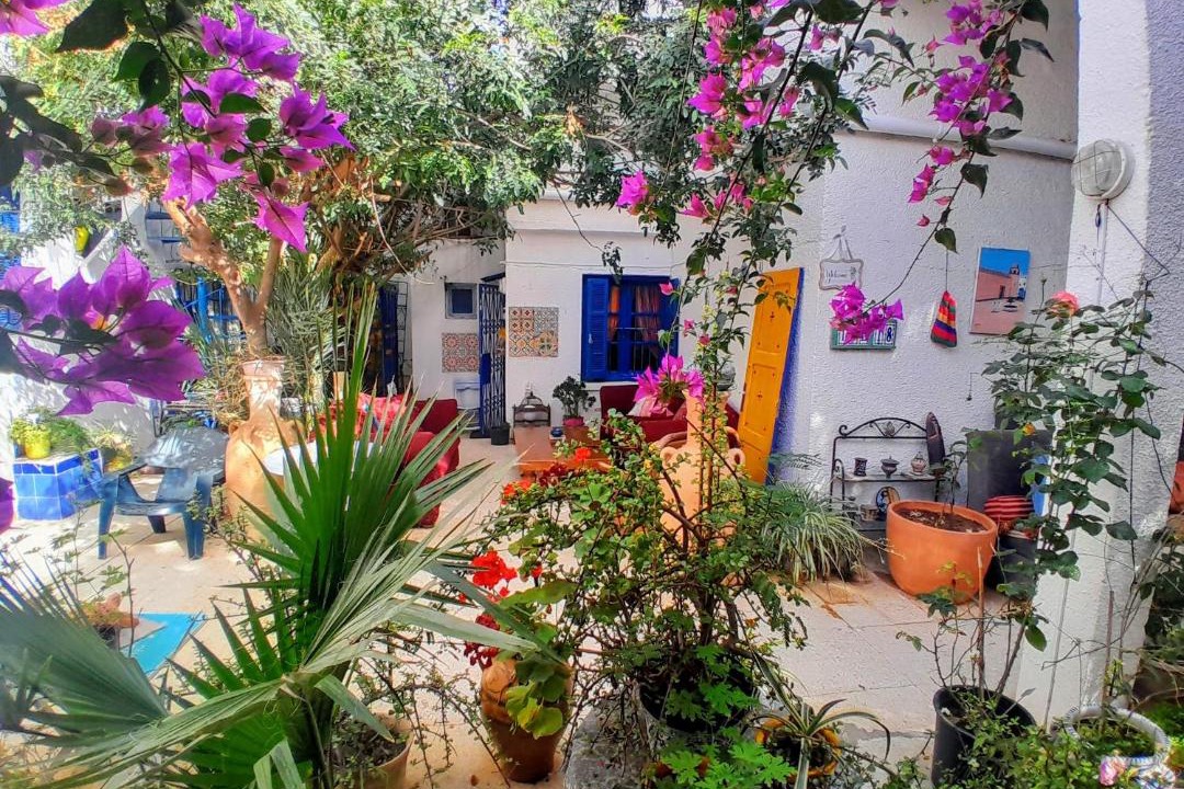 Photo of Others in La Marsa