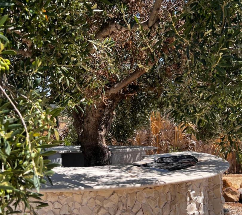 Photo of Others in Hammam Bent Djedidi