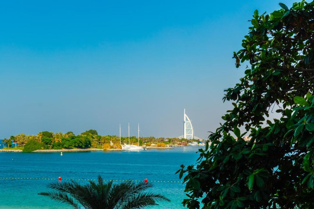 Photo of Others in Palm Jumeirah