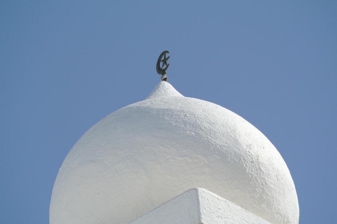 Photo of Others in El Hafsia