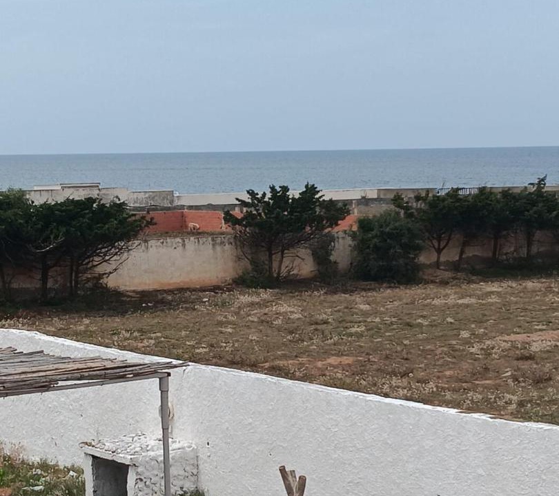Photo of Others in El Haouaria