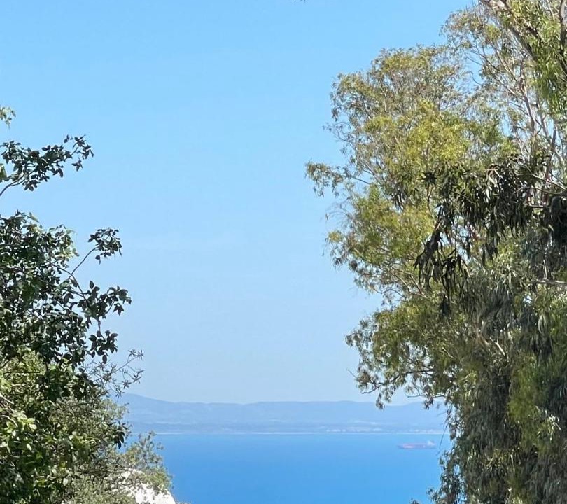 Photo of Others in Sidi Bou Said