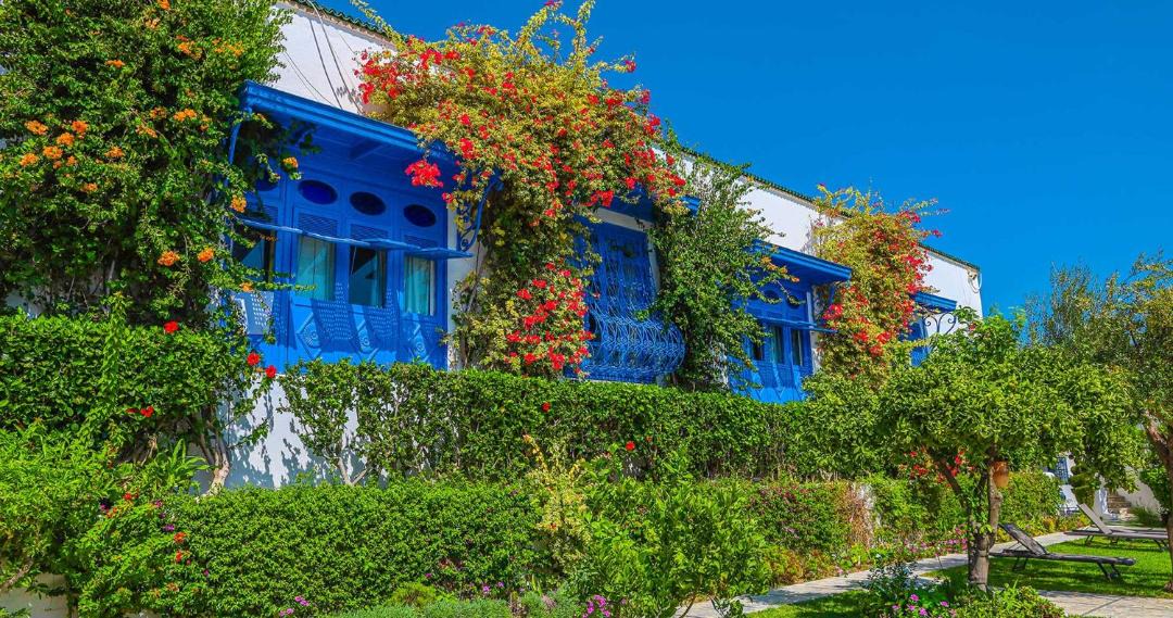 Photo of Others in Sidi Bou Said