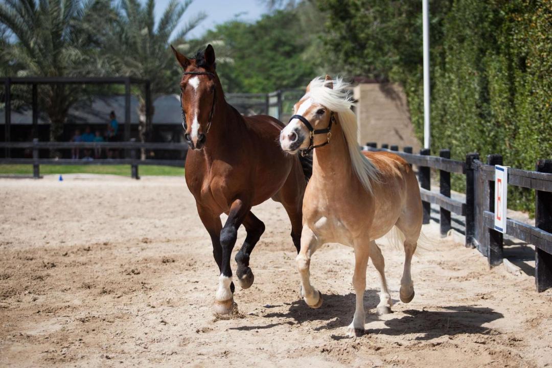 Photo of Others in Jebel Ali