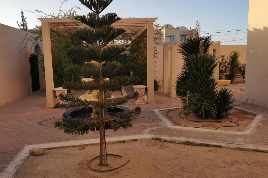 Photo of Others in Djerba Ajim