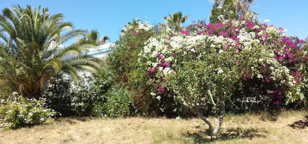 Photo of Others in Sousse