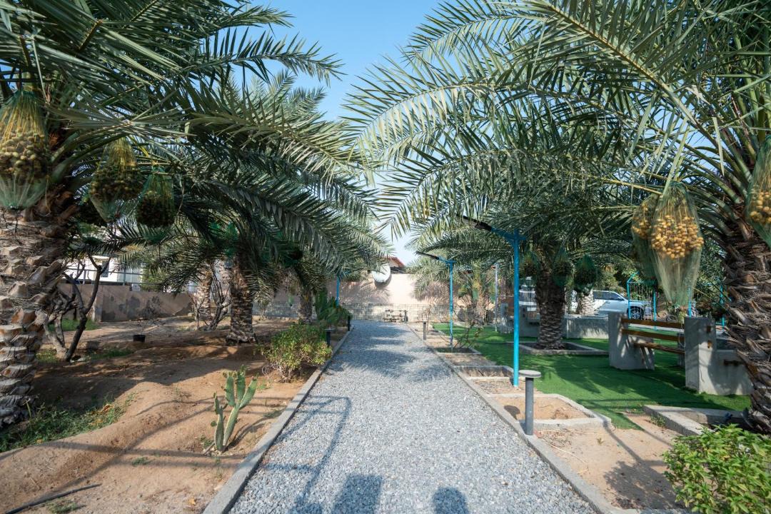 Photo of Others in Fujairah