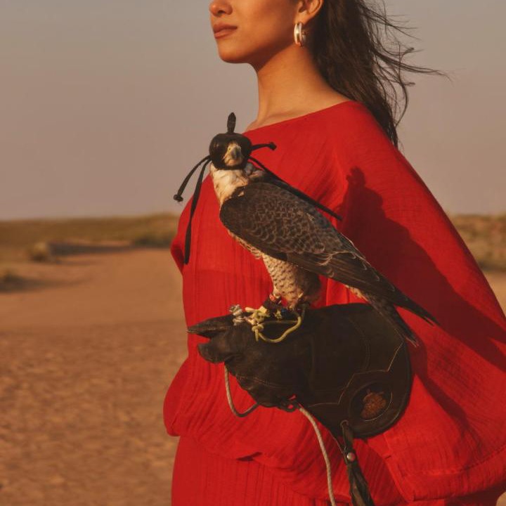 Photo of Others in Jumeirah