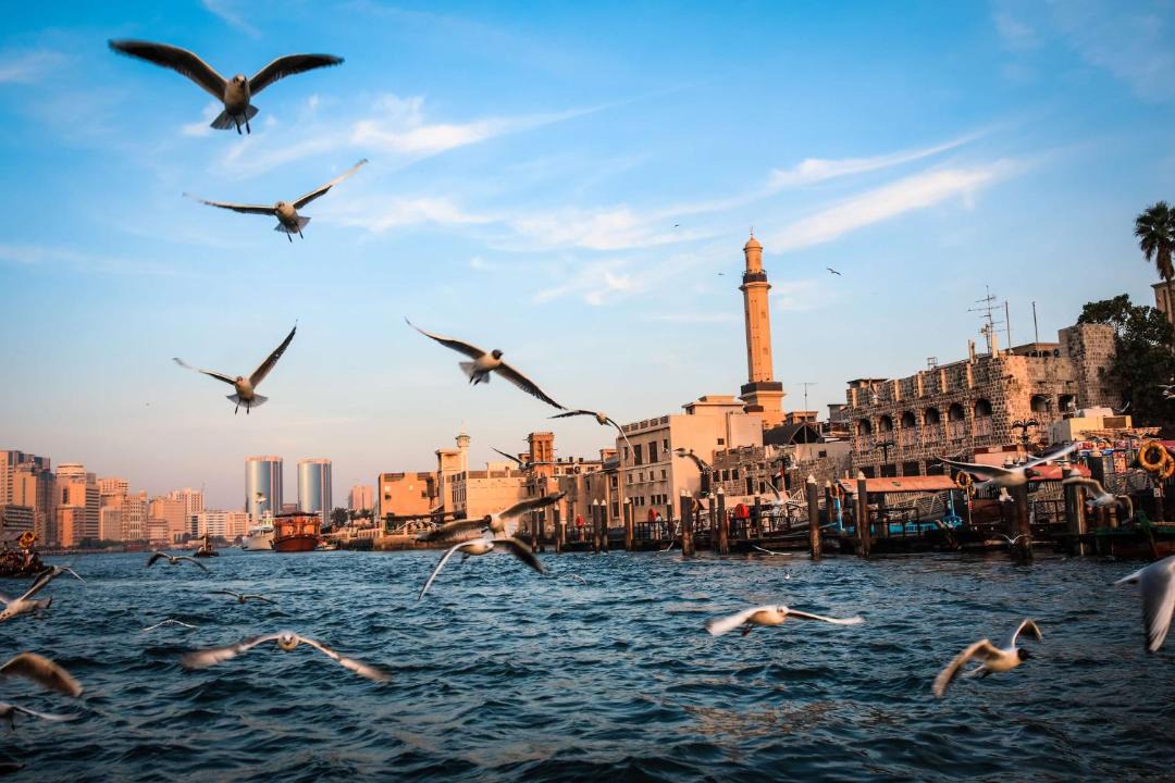 Photo of Others in Deira