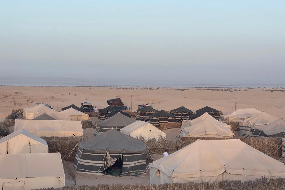 Photo of Others in El Faouar