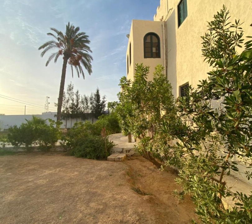 Photo of Others in Erriadh