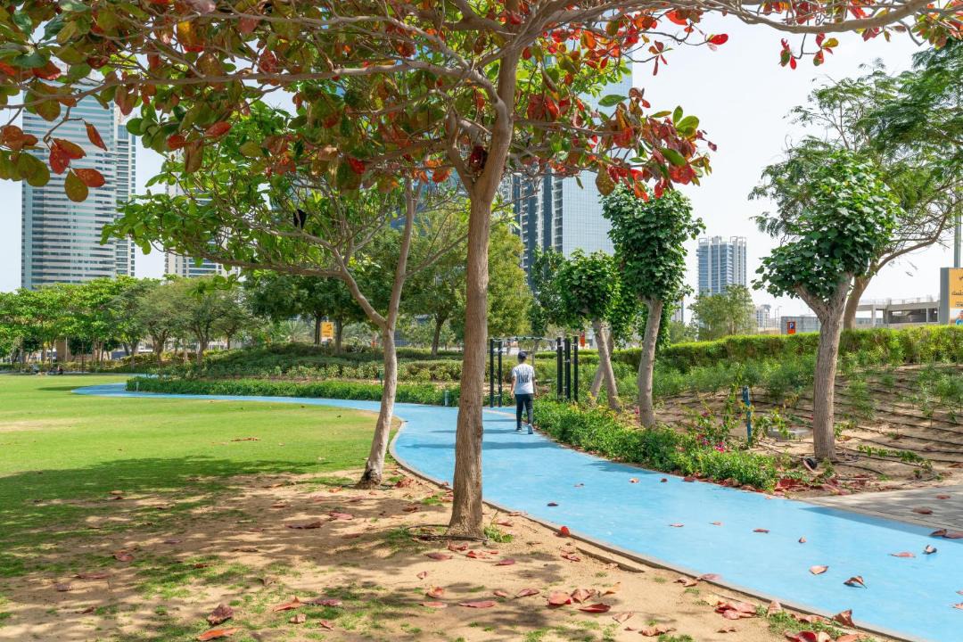 Photo of Others in Jumeirah Lake Towers