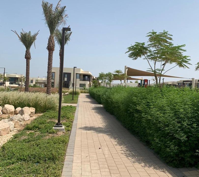 Photo of Others in Dubai