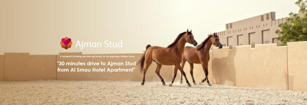Photo of Others in Ajman