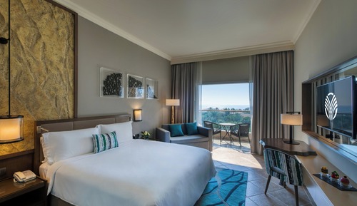 Room, 1 King Bed (Guest)