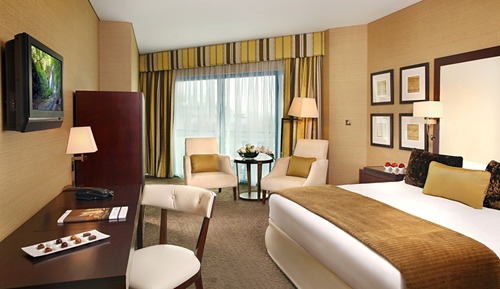 Deluxe Suite, 1 Double Bed