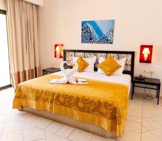 Superior Single Room