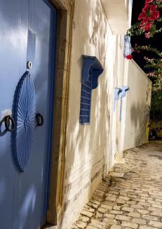 Sidi Bou Said Apartment | Mediterranean Breeze Studio