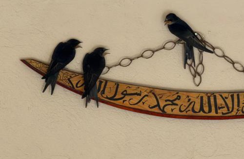 Nebeur Hotel | 1001-Nights Palace