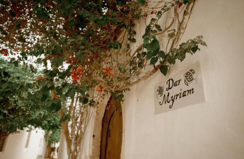 Erriadh House | Dar Meryem Djerba: Houch avec piscine
