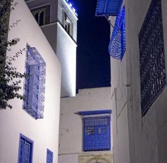 Sidi Bou Said Apartment | Mediterranean Breeze Studio