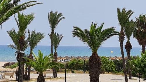 Mrezga Apartment | Dar Narcisse-Hammamet à 5 minutes à pied de la plage