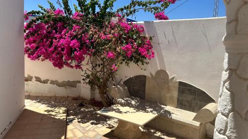 maison Djerba Midoun