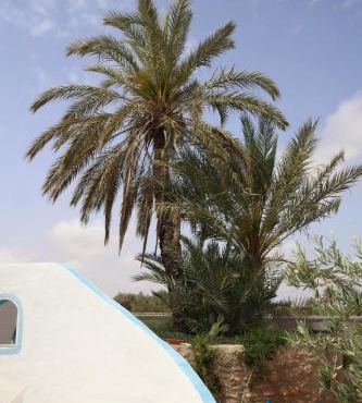 Dar Mimouna Djerba